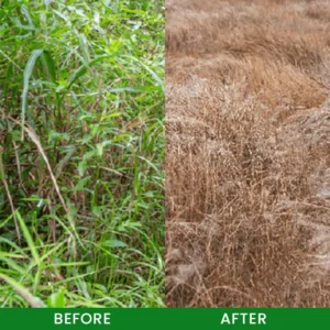 LIMETOW® Cyclosinone Herbicide Granules image LIMETOW® Cyclosinone Herbicide Granules