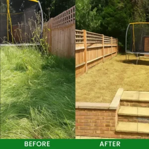 LIMETOW® Cyclosinone Herbicide Granules image LIMETOW® Cyclosinone Herbicide Granules