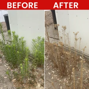 LIMETOW® Weed Killer Spray image LIMETOW® Weed Killer Spray