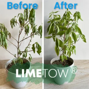 LIMETOW® Plant Revitalizer