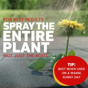 LIMETOW® Weed Killer Spray image LIMETOW® Weed Killer Spray