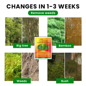 LIMETOW® Cyclosinone Herbicide Granules image LIMETOW® Cyclosinone Herbicide Granules