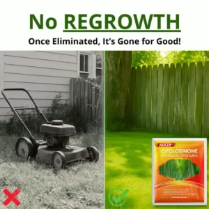 https://limetow.net/wp-content/uploads/2025/08/4_ad755770-c8b6-4dad-a118-5b00ecdabc66.webp