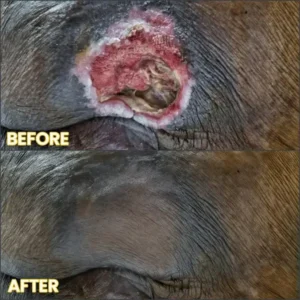 LIMETOW® Bedsore Cream