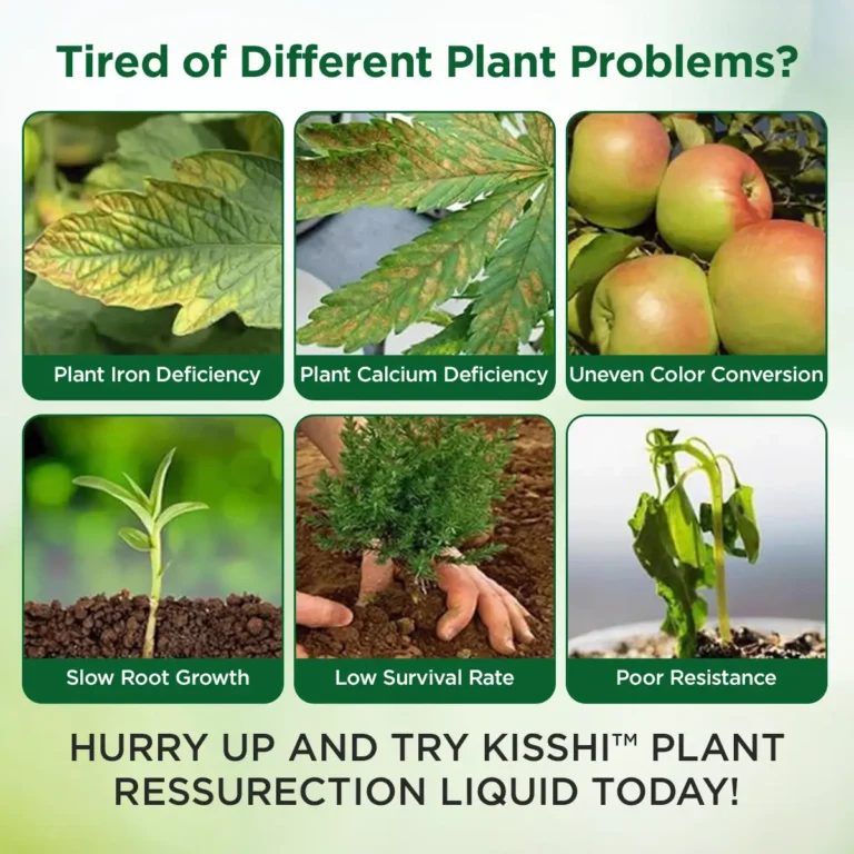 LIMETOW™ Plant Resurrection Liquid image LIMETOW™ Plant Resurrection Liquid