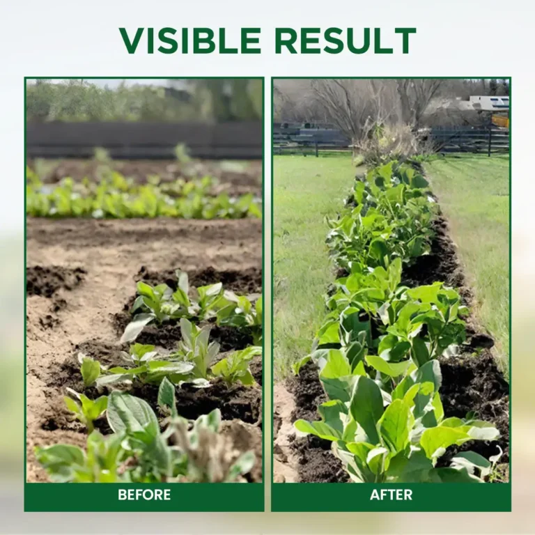 LIMETOW™ Plant Resurrection Liquid image LIMETOW™ Plant Resurrection Liquid