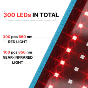 Vantelle Red Light Pain Relief Belt image Vantelle Red Light Pain Relief Belt