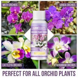 LIMETOW™ Orchid Plus Bloom Booster image LIMETOW™ Orchid Plus Bloom Booster