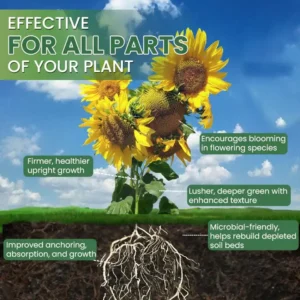 LIMETOW® House Plant Food image LIMETOW® House Plant Food