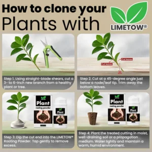 LIMETOW® Plant Rooting Powder image LIMETOW® Plant Rooting Powder