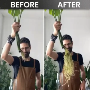 LIMETOW® Plant Rooting Powder image LIMETOW® Plant Rooting Powder