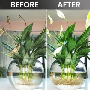 LIMETOW® Plant Rooting Powder image LIMETOW® Plant Rooting Powder