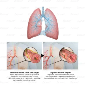 Zvoevo® Botanical Mullein Lung Cleanse Diffuser image Zvoevo® Botanical Mullein Lung Cleanse Diffuser