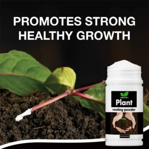 LIMETOW® Plant Rooting Powder image LIMETOW® Plant Rooting Powder