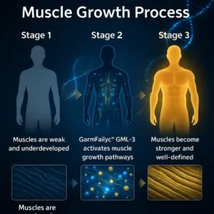 GarmFailyc® GML-3 Six-in-One Muscle Growth Oral Solution image GarmFailyc® GML-3 Six-in-One Muscle Growth Oral Solution