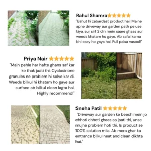 Cyclosinone Herbicide Granules 500gm image Cyclosinone Herbicide Granules 500gm