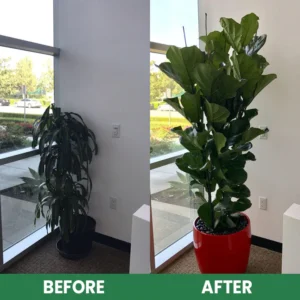 LIMETOW™ Universal Slow-Release Green Tablet Fertilizer image LIMETOW™ Universal Slow-Release Green Tablet Fertilizer