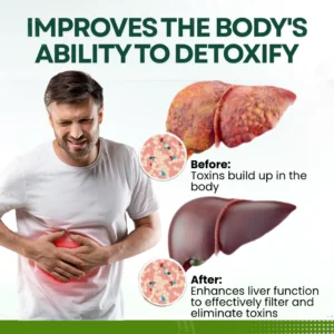 AEXZR® Lipo-Sorb Nightly Liver Detox Patch