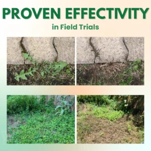 AEXZR® 5 in 1 Max Power Herbicide 8 AEXZR® 5 in 1 Max Power Herbicide