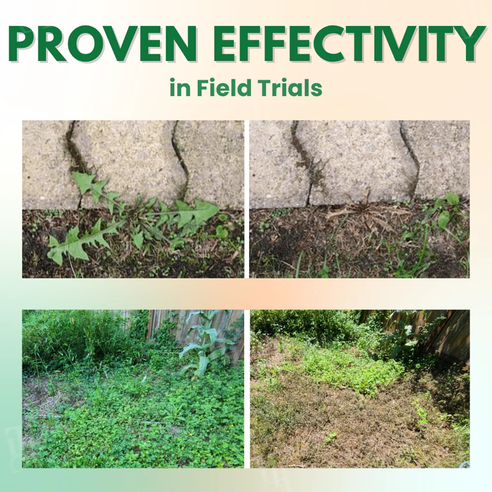 AEXZR® 5 in 1 Max Power Herbicide 2 AEXZR® 5 in 1 Max Power Herbicide