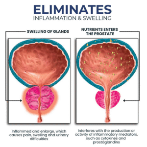BEEBOOM Nasal Inhaler for Prostate Wellness image BEEBOOM Nasal Inhaler for Prostate Wellness