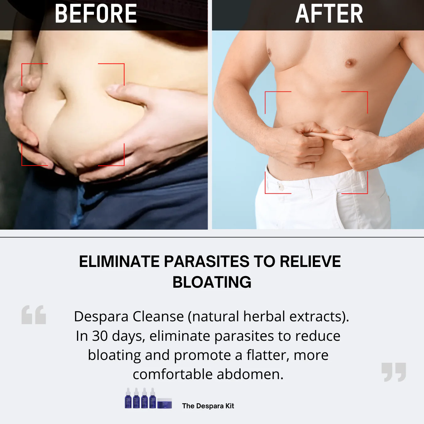 Dēspara Cleanse – Parasite Cleanse 5 Dēspara Cleanse – Parasite Cleanse