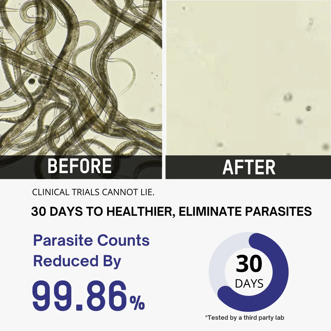 Dēspara Cleanse – Parasite Cleanse 2 Dēspara Cleanse – Parasite Cleanse