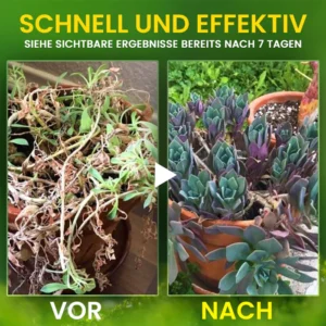 AEXZR® 2-in-1 Vita-Enzyme Solution