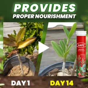 AAFQ® Organic Fertilizer Tablets image AAFQ® Organic Fertilizer Tablets