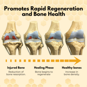 Bee venom joint treatment patches