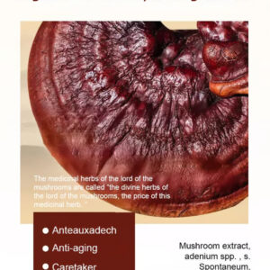 Lingzhi Anti-wrinkle Rejuvenating Water image Lingzhi Anti-wrinkle Rejuvenating Water