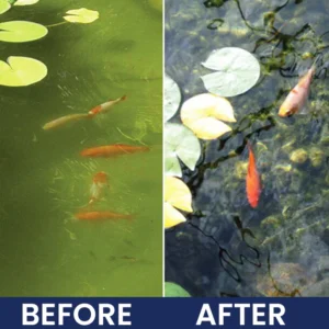 LIMETOW® Aqua-Guardian Pro Formula image LIMETOW® Aqua-Guardian Pro Formula