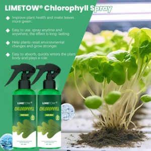 LIMETOW® Chlorophyll Spray image LIMETOW® Chlorophyll Spray