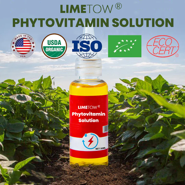 LIMETOW® Weed Killer Spray image LIMETOW® Weed Killer Spray - Image 11