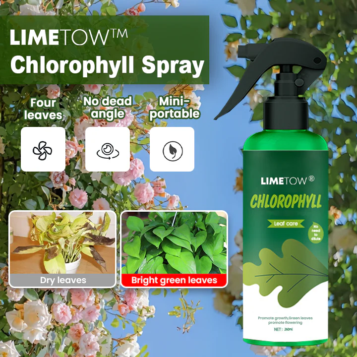 LIMETOW® Chlorophyll Spray image LIMETOW® Chlorophyll Spray