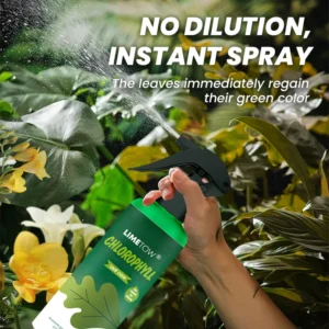 LIMETOW® Chlorophyll Spray image LIMETOW® Chlorophyll Spray