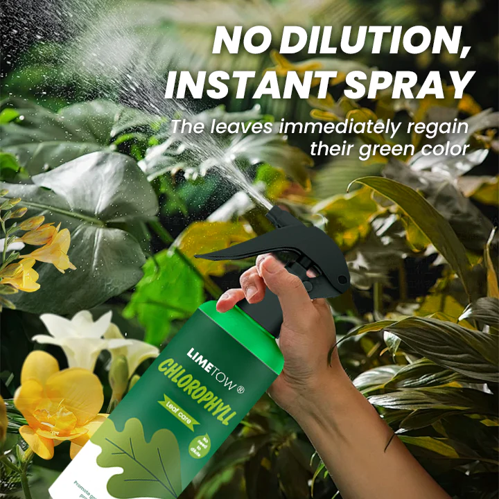 LIMETOW® Chlorophyll Spray image LIMETOW® Chlorophyll Spray
