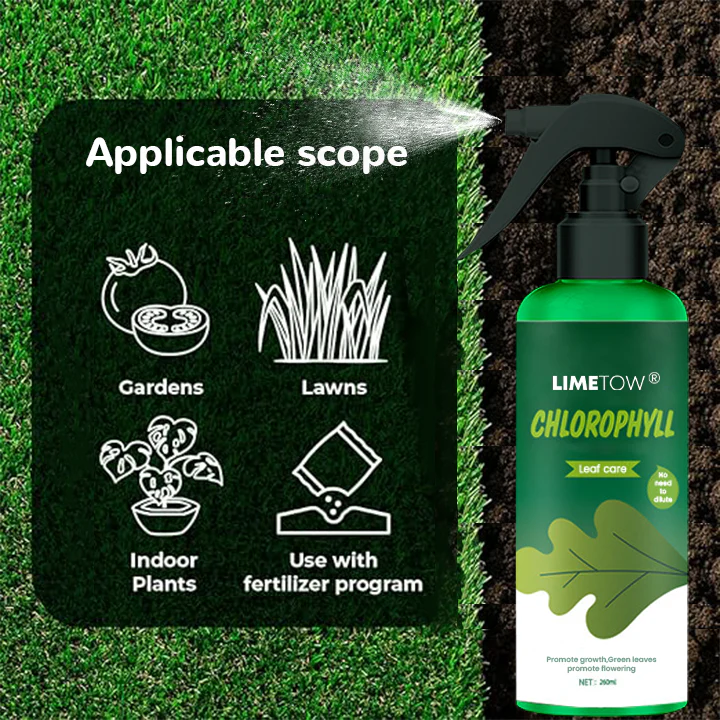 LIMETOW® Chlorophyll Spray image LIMETOW® Chlorophyll Spray
