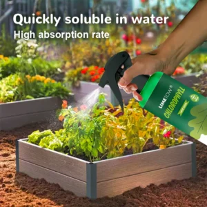 LIMETOW® Chlorophyll Spray image LIMETOW® Chlorophyll Spray