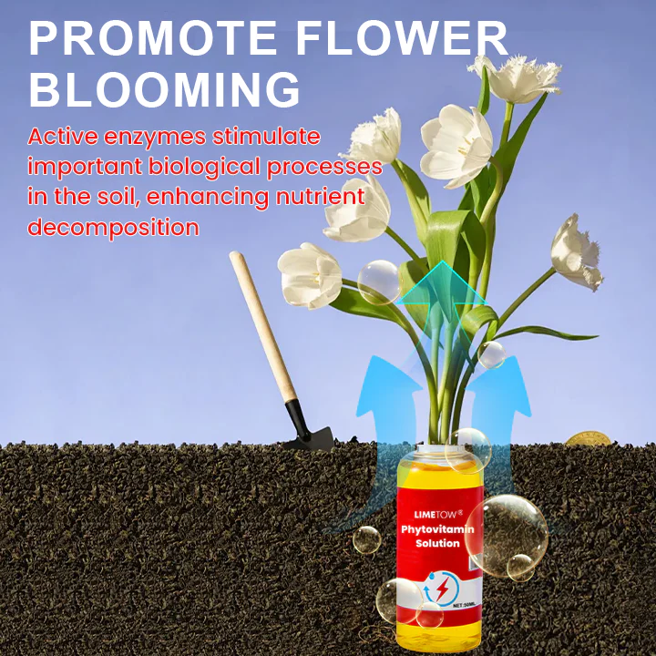 LIMETOW® Weed Killer Spray image LIMETOW® Weed Killer Spray - Image 12