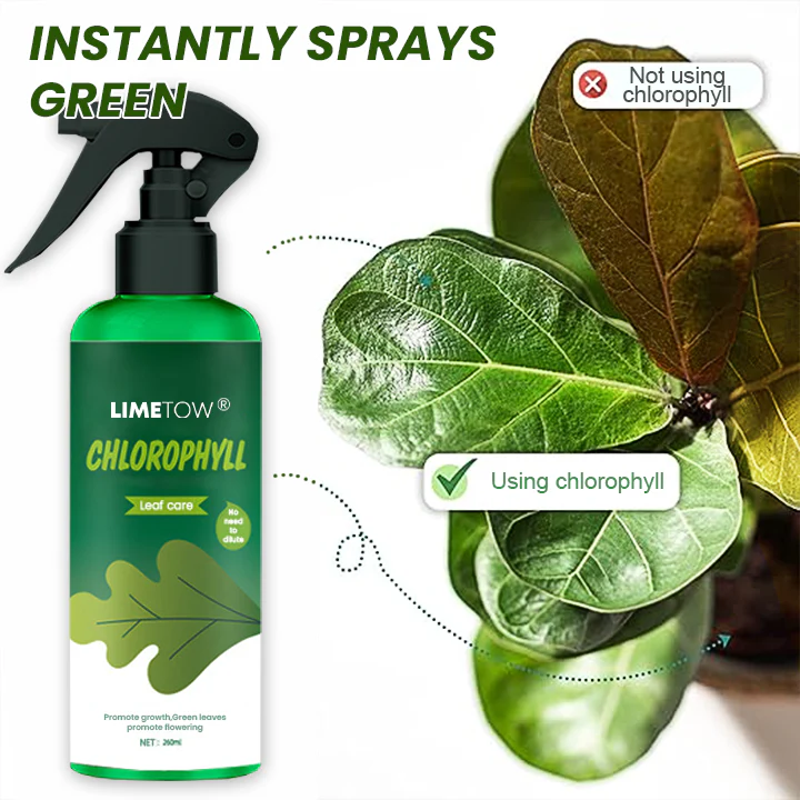 LIMETOW® Chlorophyll Spray image LIMETOW® Chlorophyll Spray