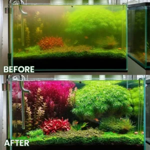 LIMETOW® Powerful Aquarium Water Purification Tablet image LIMETOW® Powerful Aquarium Water Purification Tablet