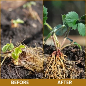 LIMETOW® Bone Meal Powder image LIMETOW® Bone Meal Powder