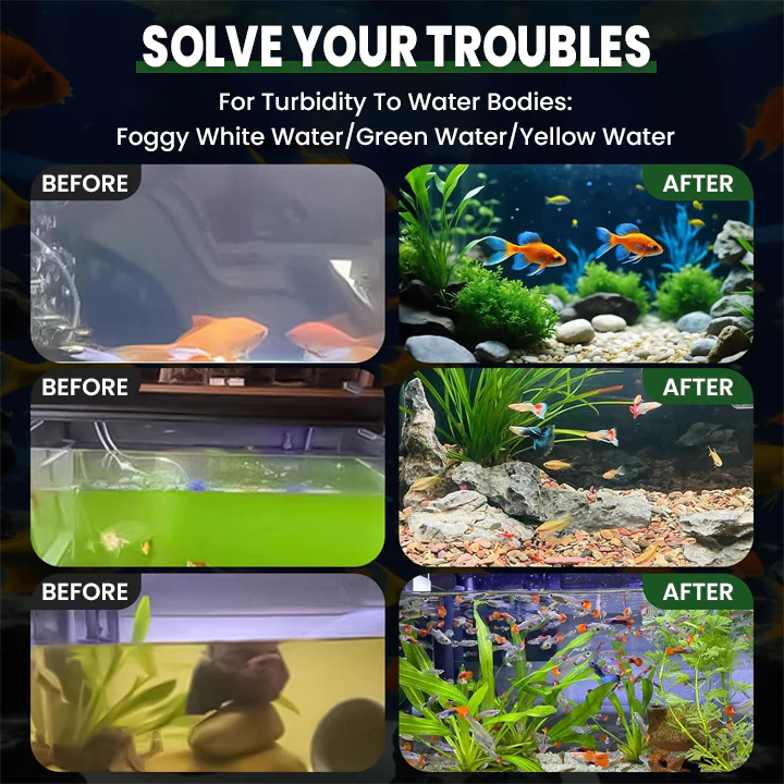 LIMETOW® Powerful Aquarium Water Purification Tablet image LIMETOW® Powerful Aquarium Water Purification Tablet