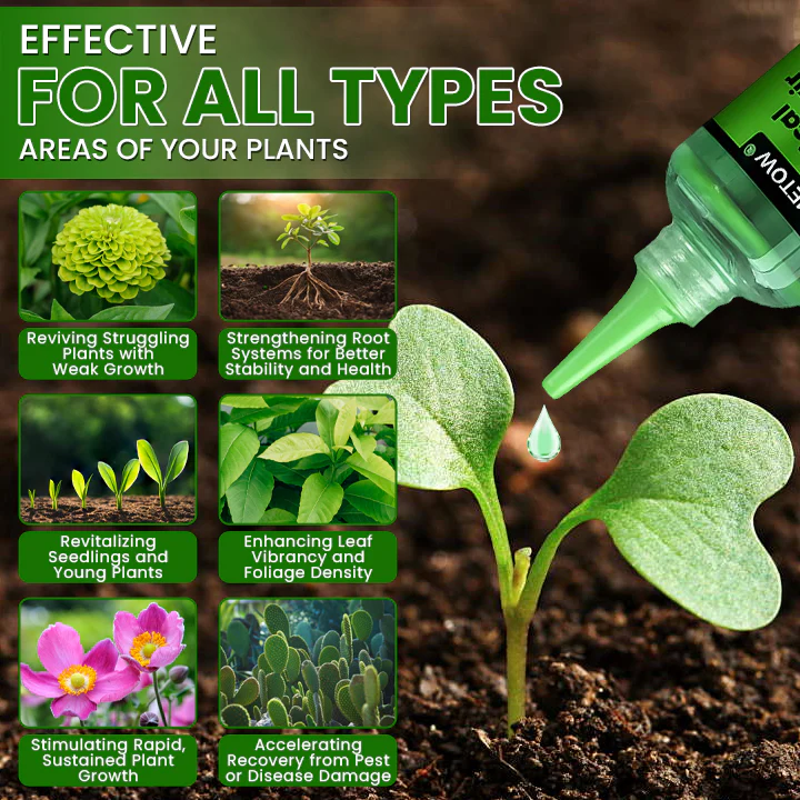 LIMETOW® Botanical Revival Elixir image LIMETOW® Botanical Revival Elixir