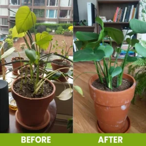 LIMETOW® Soil Activator image LIMETOW® Soil Activator