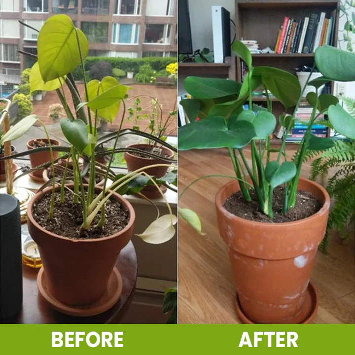 LIMETOW® Soil Activator image LIMETOW® Soil Activator