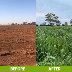 LIMETOW® Soil Activator image LIMETOW® Soil Activator