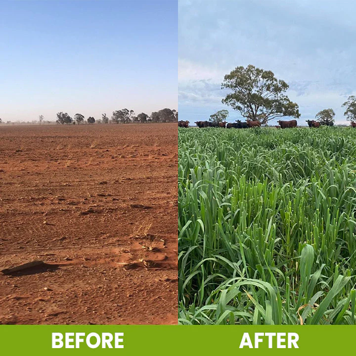 LIMETOW® Soil Activator image LIMETOW® Soil Activator - Image 13