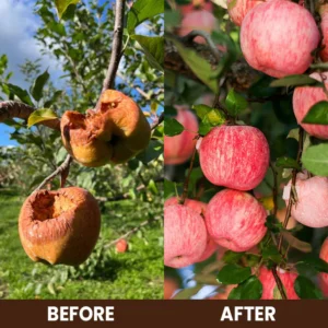 LIMETOW® Soil Activator image LIMETOW® Soil Activator